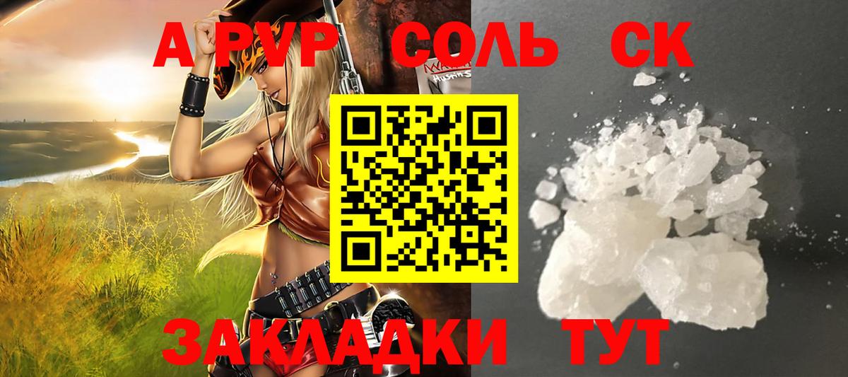 A PVP СК КРИС Сургут