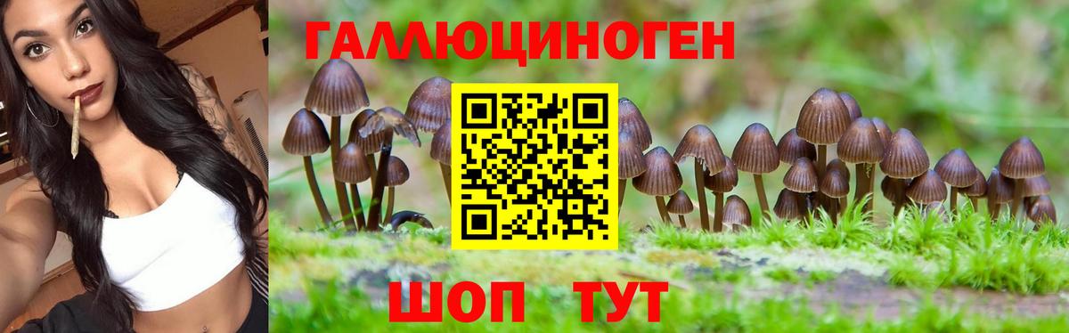 где продают наркотики  Вход с VPN  Псилоцибиновые грибы GOLDEN TEACHER  Сургут  Псилоцибиновые грибы Magic Shrooms 